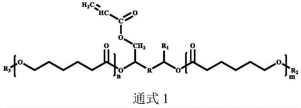 結構,應用此聚氨酯改性環氧丙烯酸酯所形成的固化膜的柔韌性遠大於