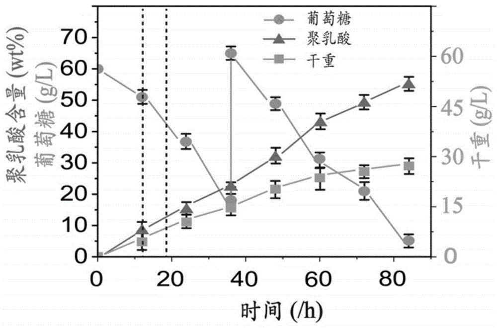 cn110724657a_一種調控細胞形態改善聚乳酸生產性能的策略在審