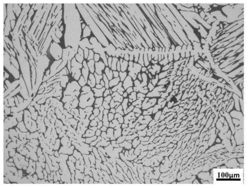 马氏体时效不锈钢枝晶腐蚀剂及腐蚀方法