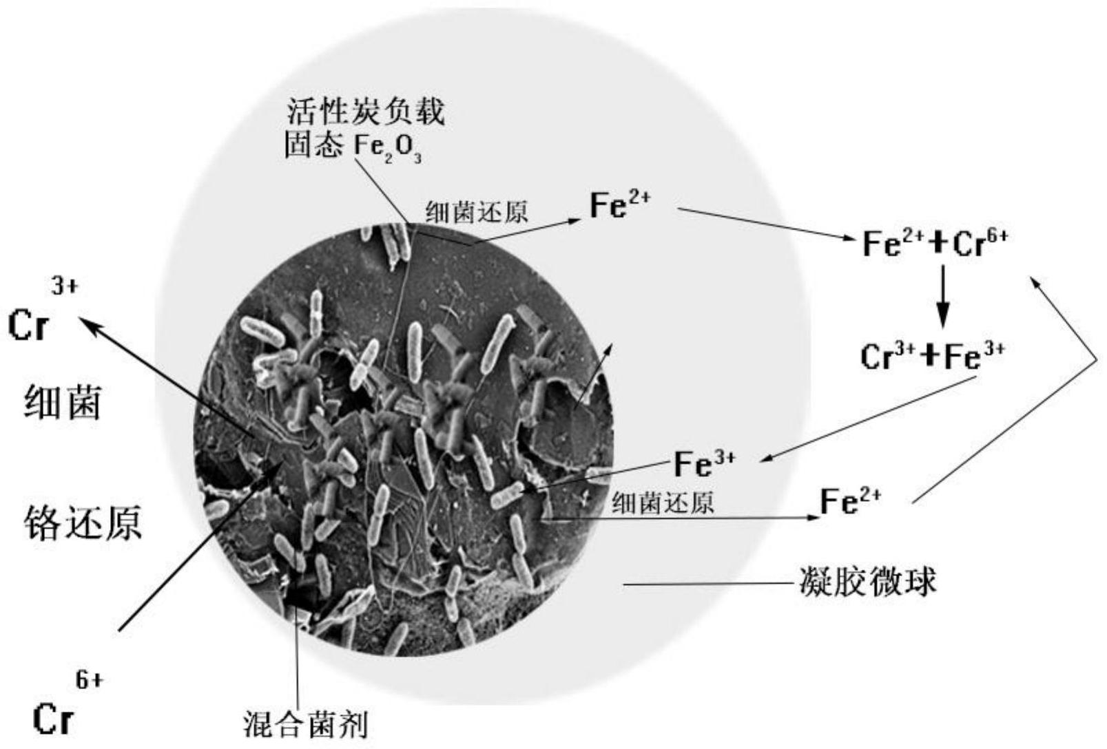 cn110951642a_一种固定微生物还原吸附重金属铬的方法