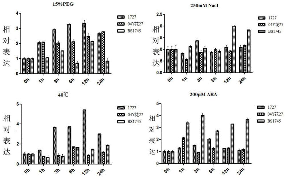 cn110964091a_小麦抗旱杂种优势相关蛋白tanf-yb12及其