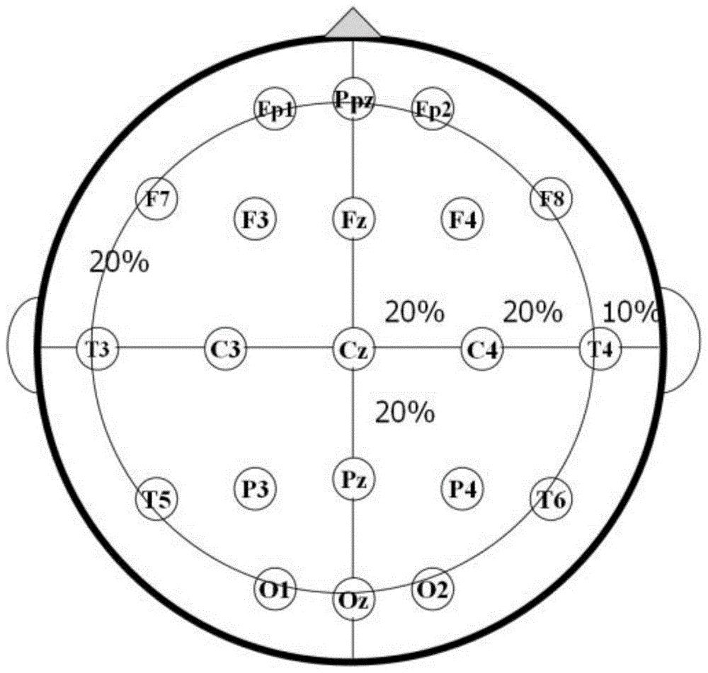 脑电图的定位方法图片