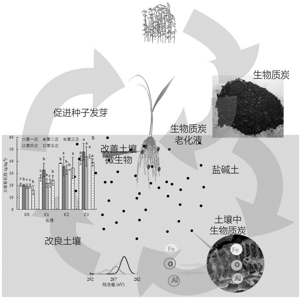 改良鹽鹼土壤的生物質炭製備方法及其衍生物的製備和應用