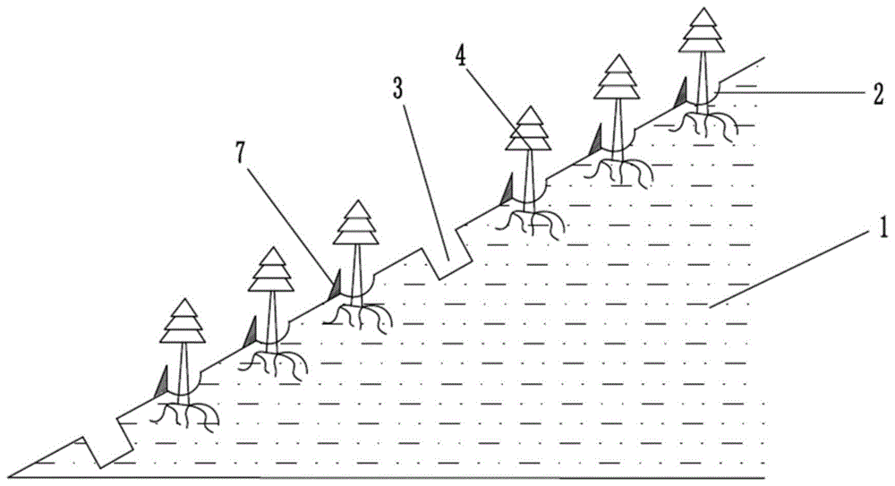 一种鱼鳞坑与截流沟综合径流拦蓄系统及其建造方法