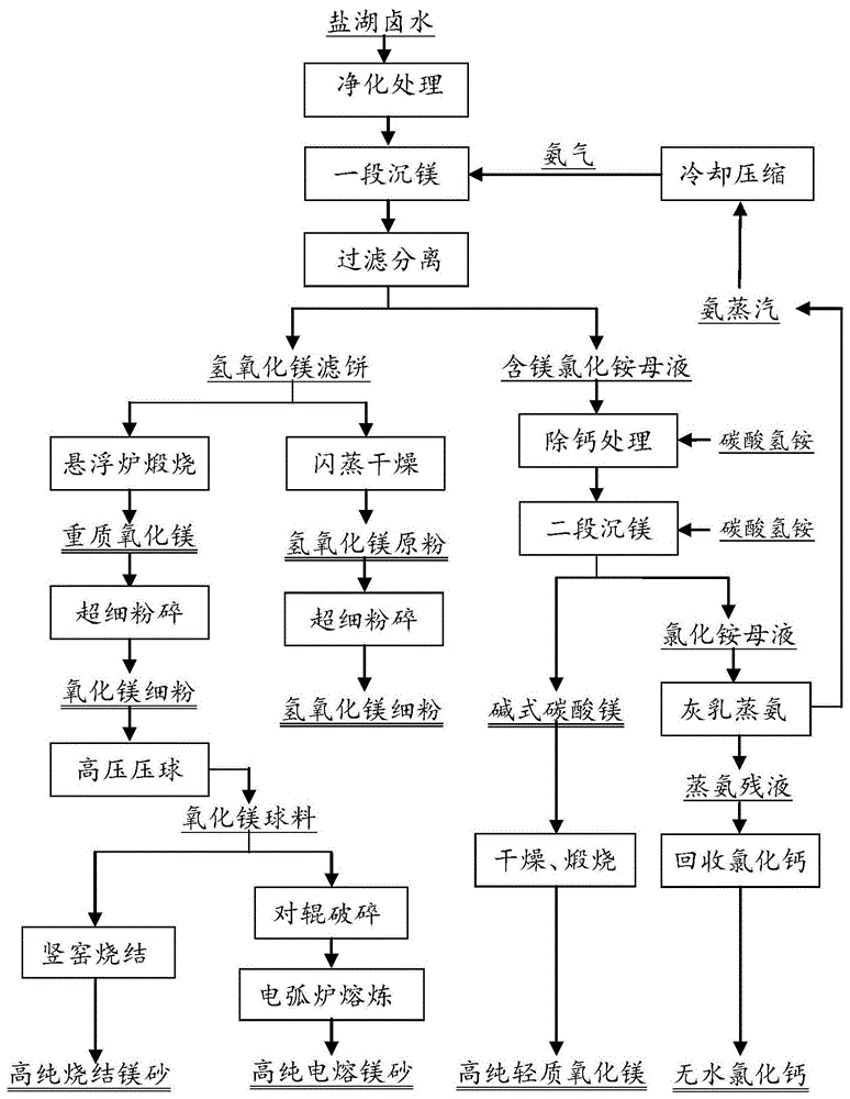 以盐湖卤水生产高纯氢氧化镁,高纯氧化镁及高纯镁砂系列镁产品的方法