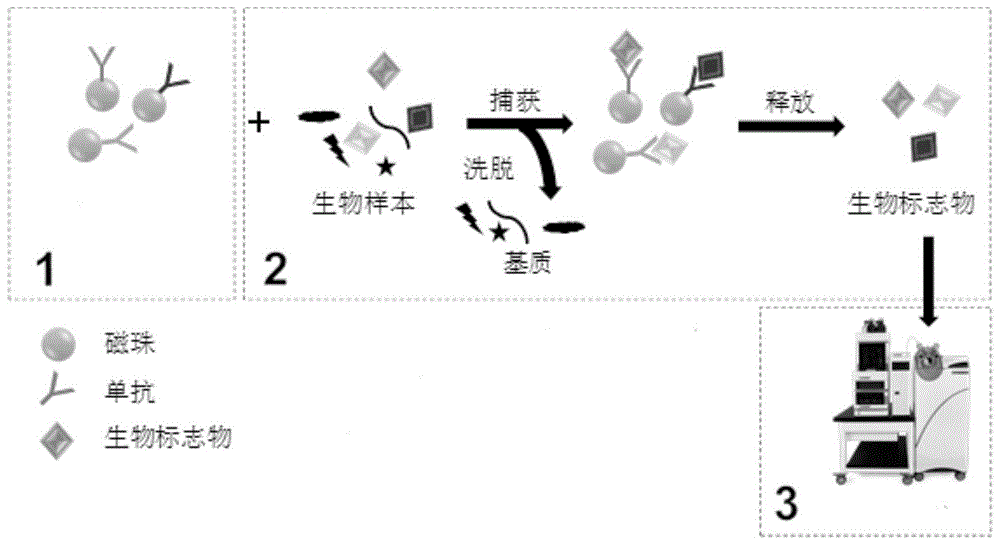 cn111366646a_一種基於免疫純化結合質譜檢測的25-羥維生素d分析方法