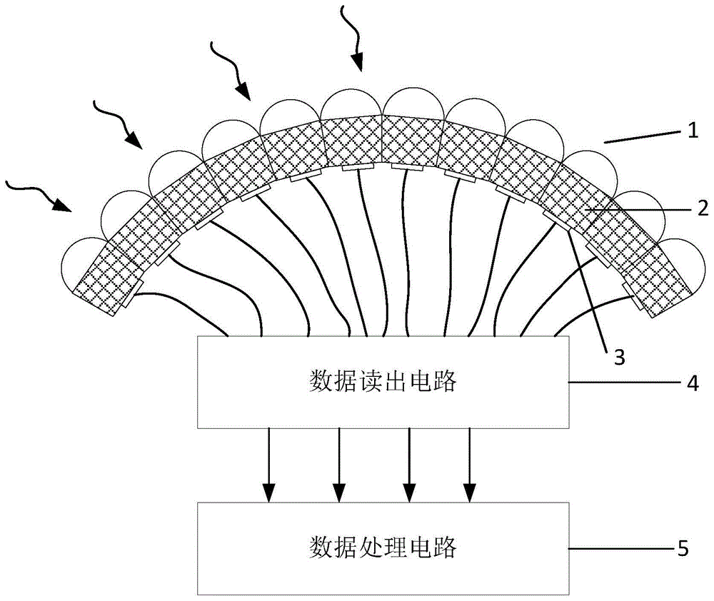 人长了复眼图片简笔画图片