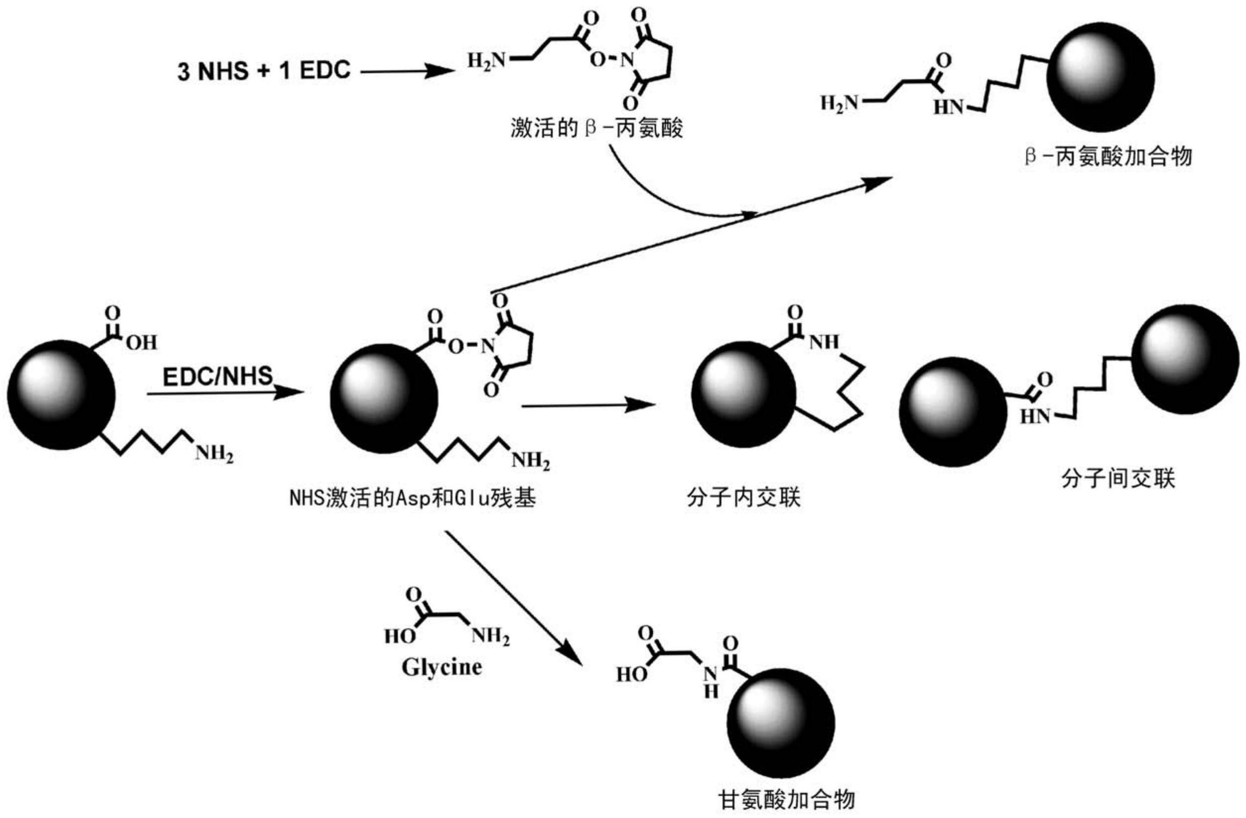 edci结构式图片