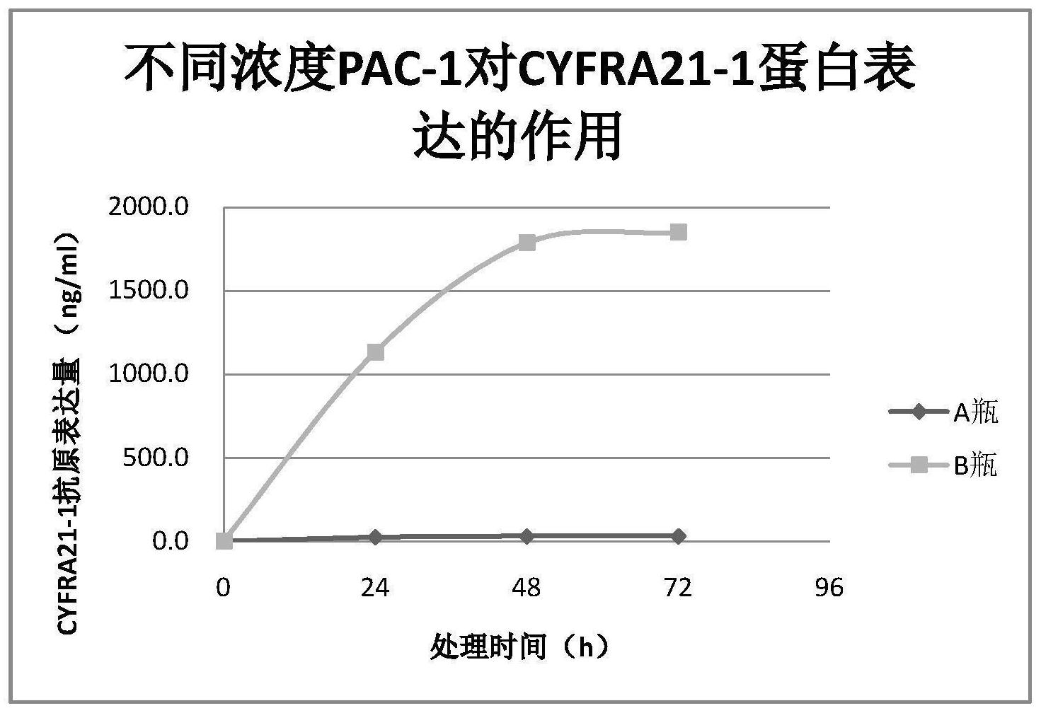 细胞角质蛋白19片段图片