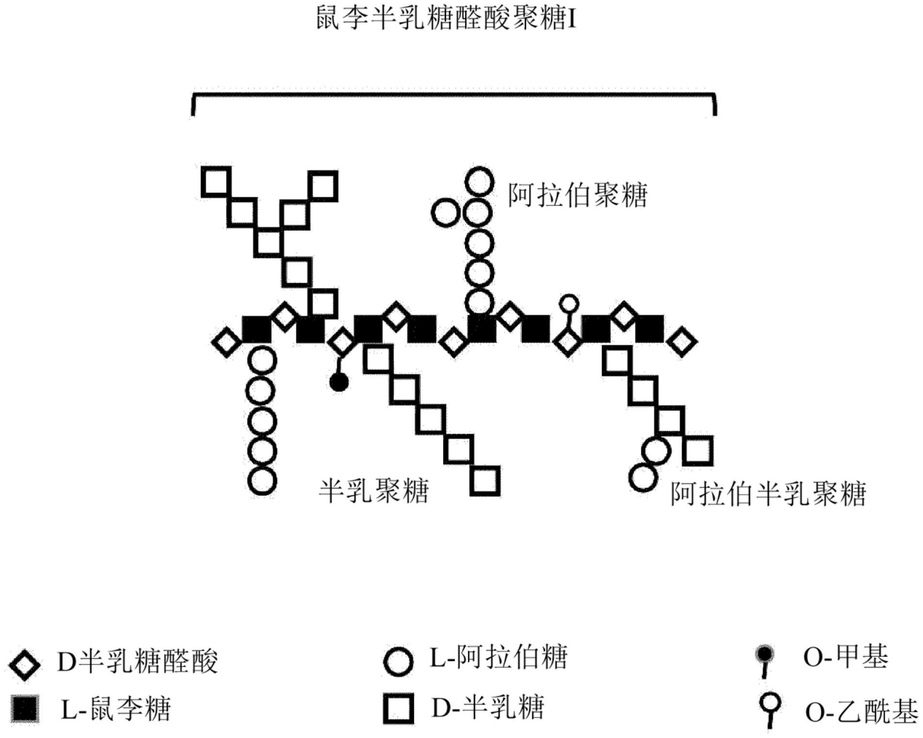 生产富含鼠李半乳糖醛酸聚糖i的果胶多糖分离物的方法