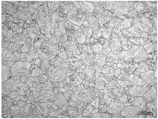 显示18ni马氏体钢原奥氏体晶界的侵蚀剂及显示方法专利_专利查询 - 天