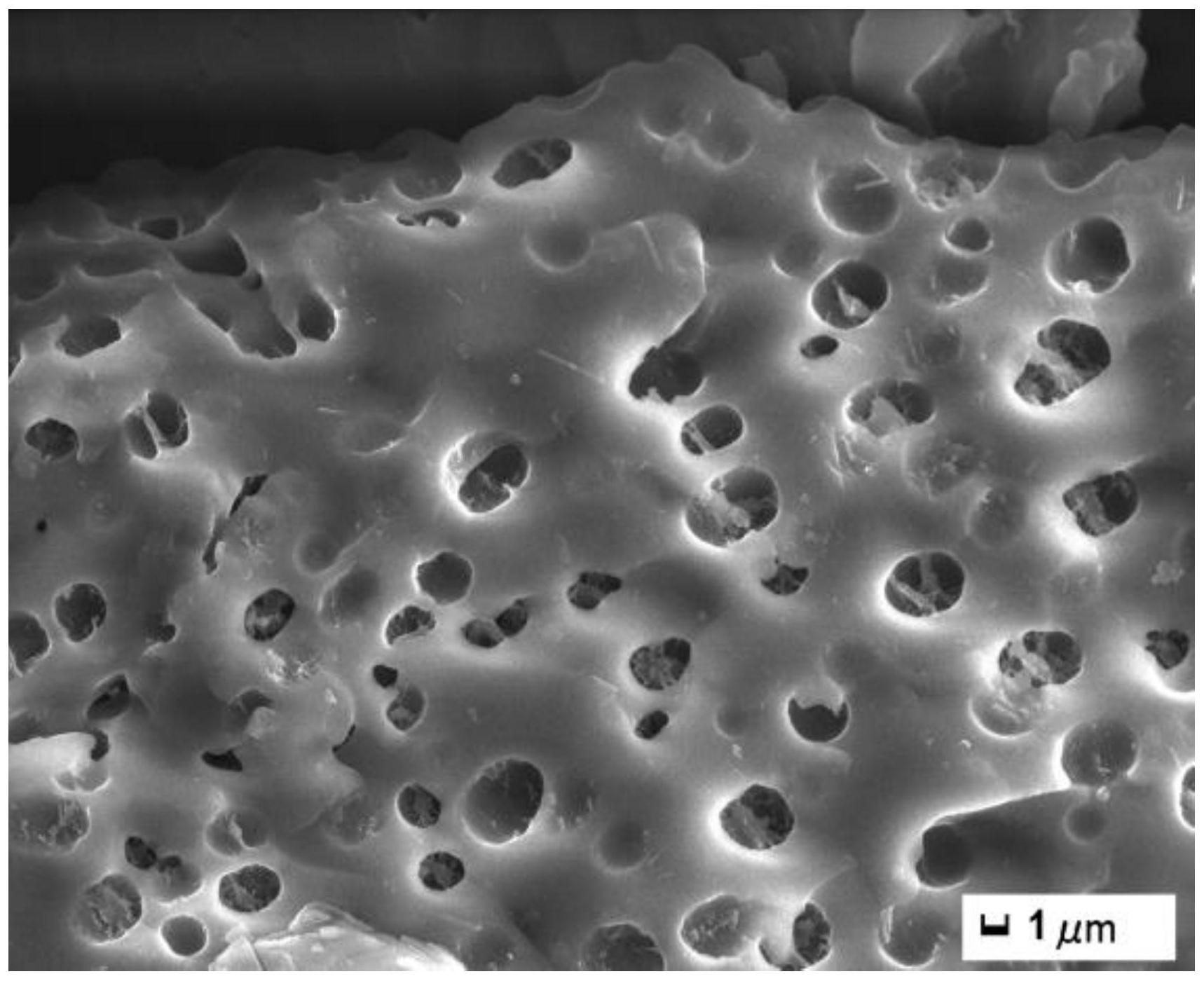 活性炭微观结构图片
