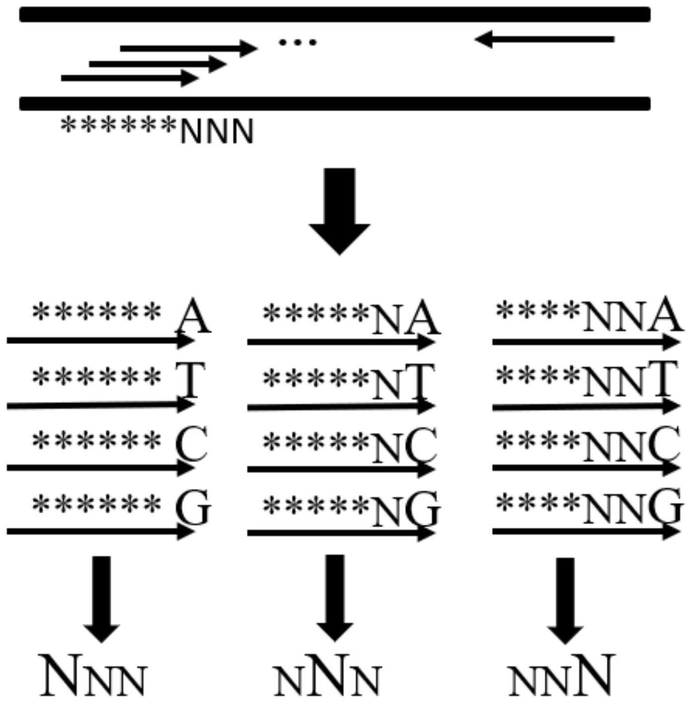 其方法包括:针对基因组连续n个突变位点,分别设计一组四个扩增引物