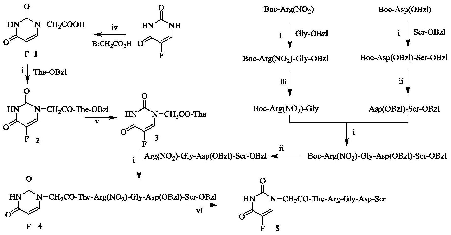 茶氨酸单独及与rgds共同修饰的5氟尿嘧啶其合成活性和应用