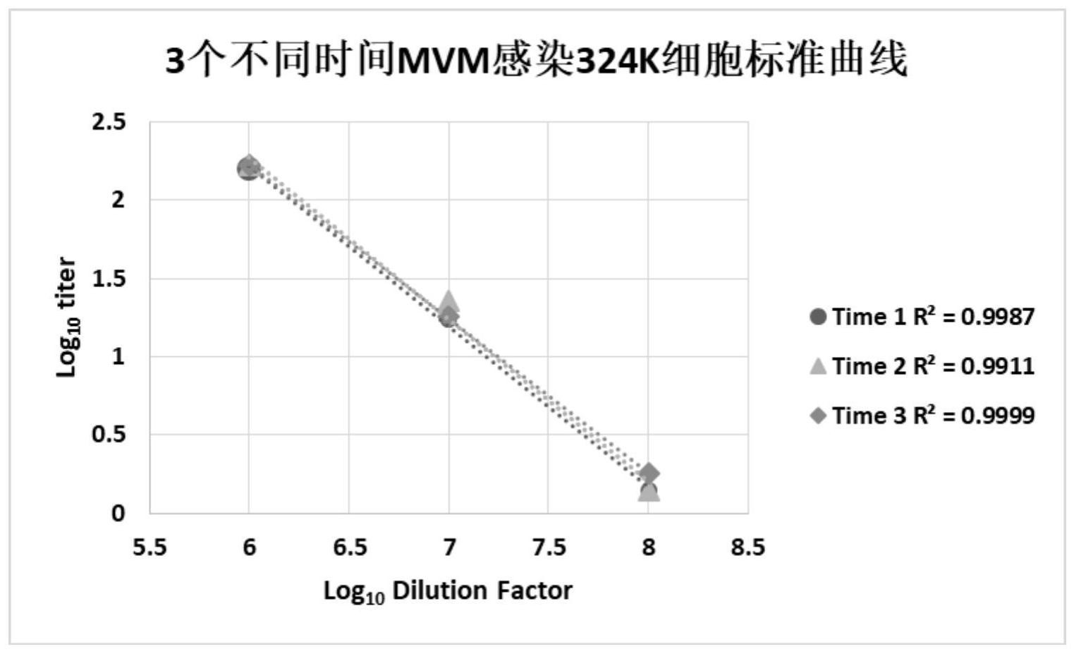 一種利用空斑染色測定鼠細小病毒滴度的方法