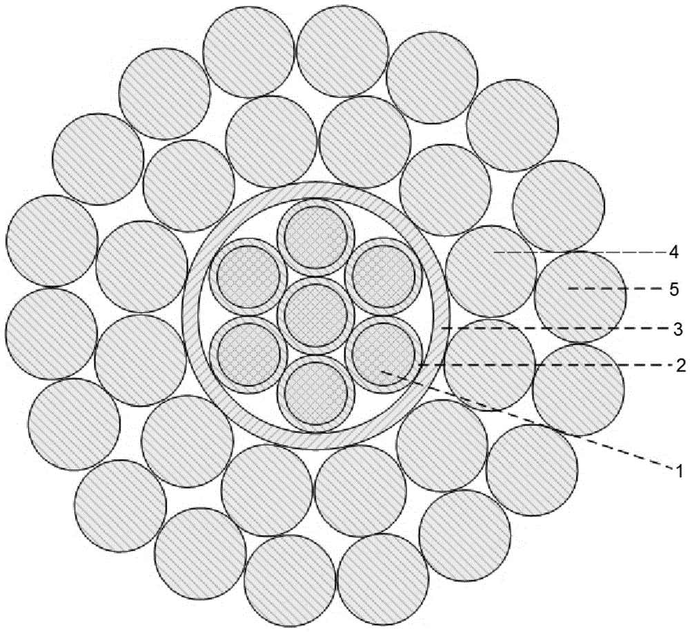 cn112366024a_一种绞合型铝包复合芯导线