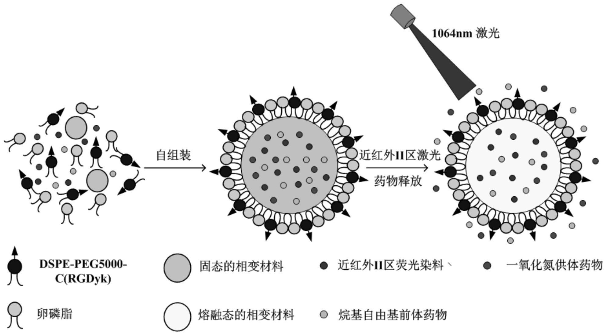 一種近紅外ii區激光控釋藥物納米脂質體及其製備方法與應用