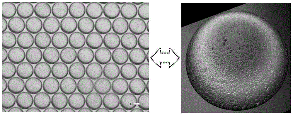 cn112516930a_一种制备高球形度,高表面光洁度,高降解性能空心微球的