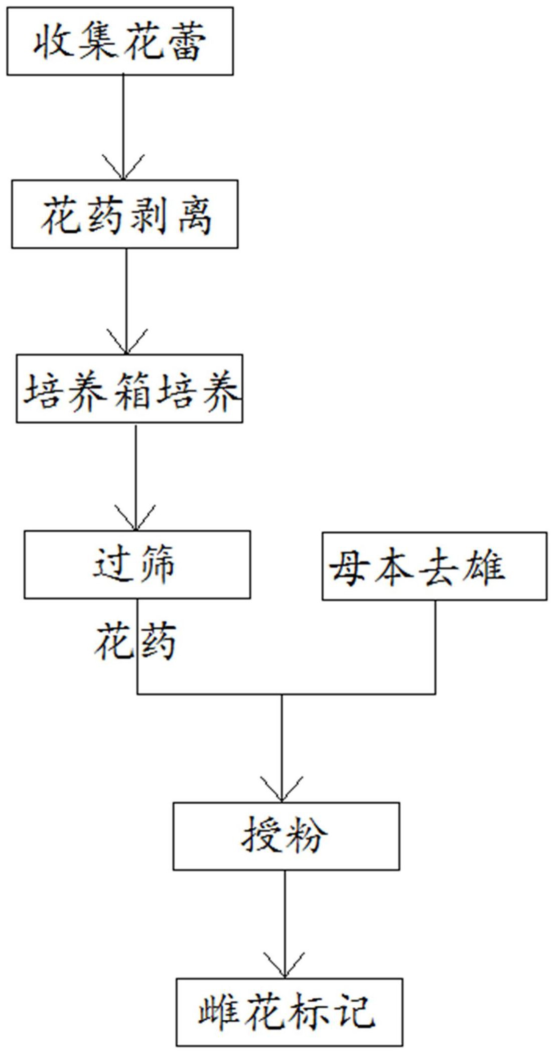 辣椒授粉方式图片