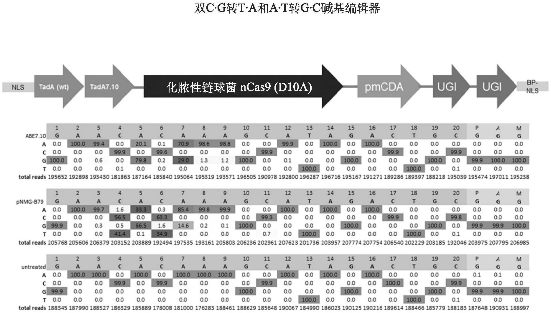 cn112805379a_多效应核碱基编辑器和使用其修饰核酸靶序列的方法