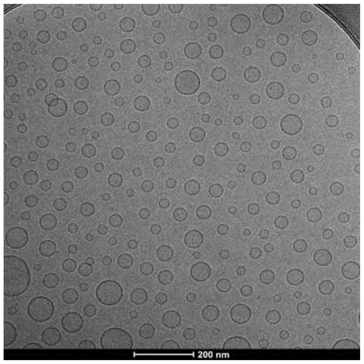 脂质体显微镜图片
