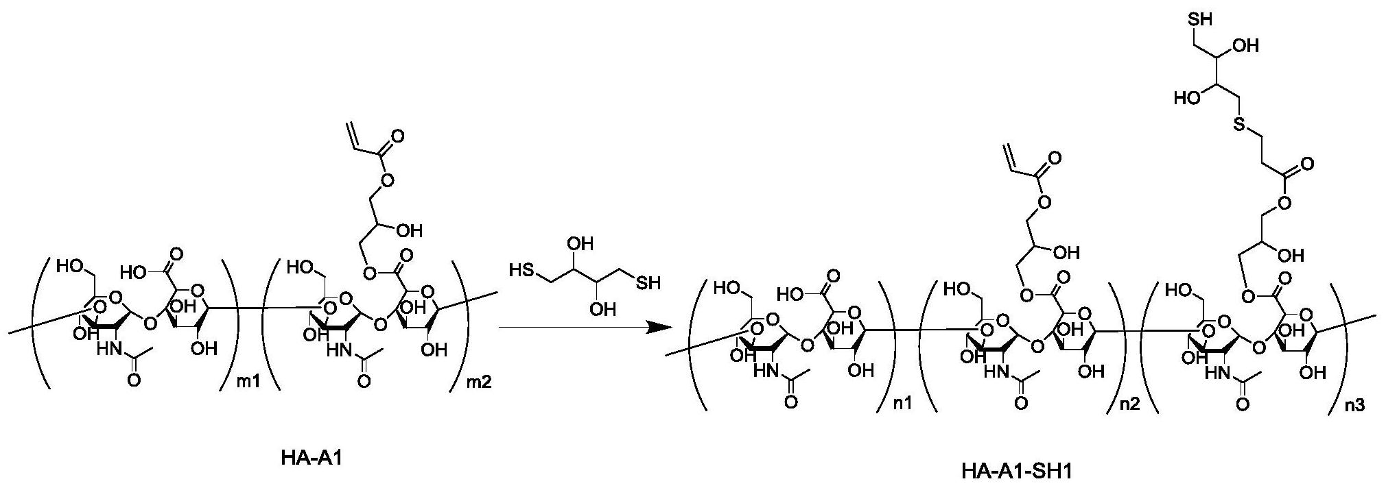 巰基改性透明質酸及其製備方法和用途