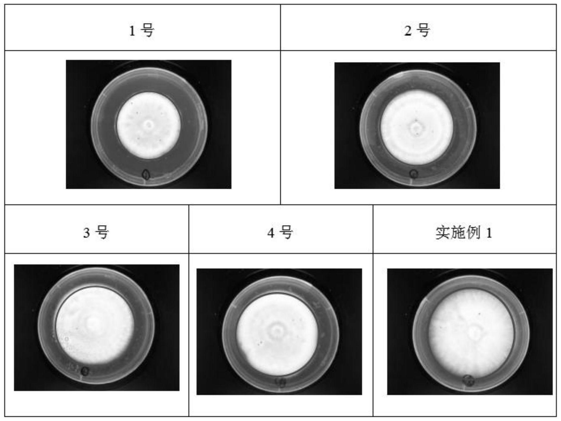 一种蝉花菌丝体营养品的制备方法
