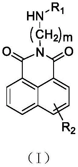 一类自旋标记的萘酰亚胺类含氧化合物及其应用