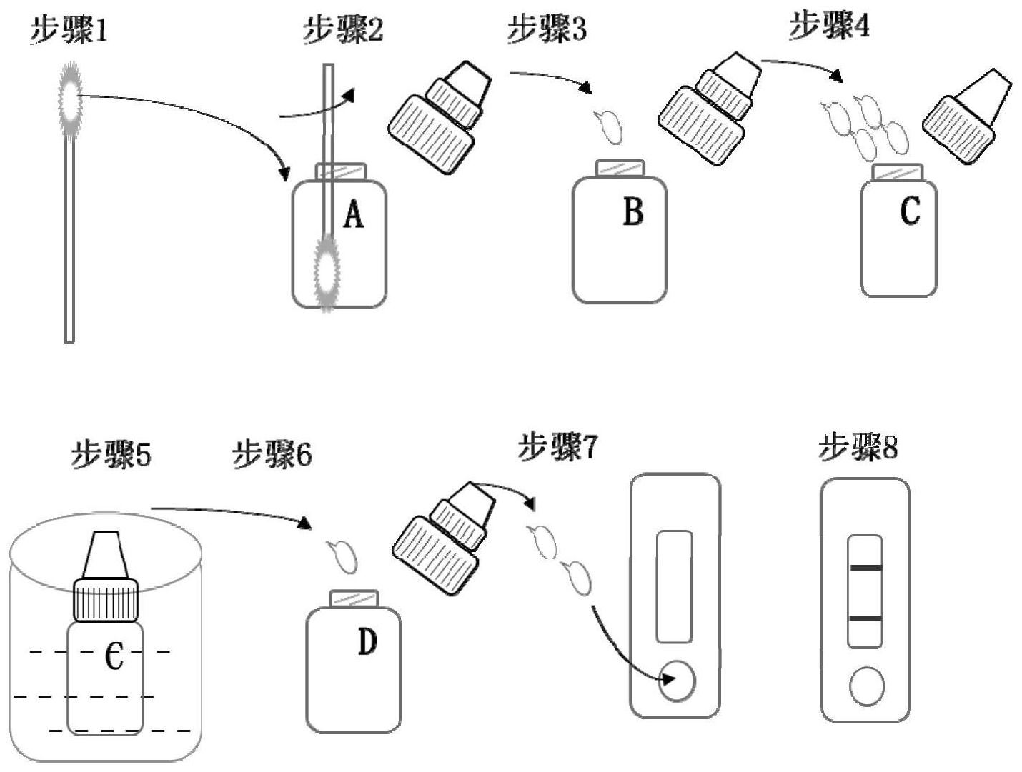 核酸检测图解图片图片