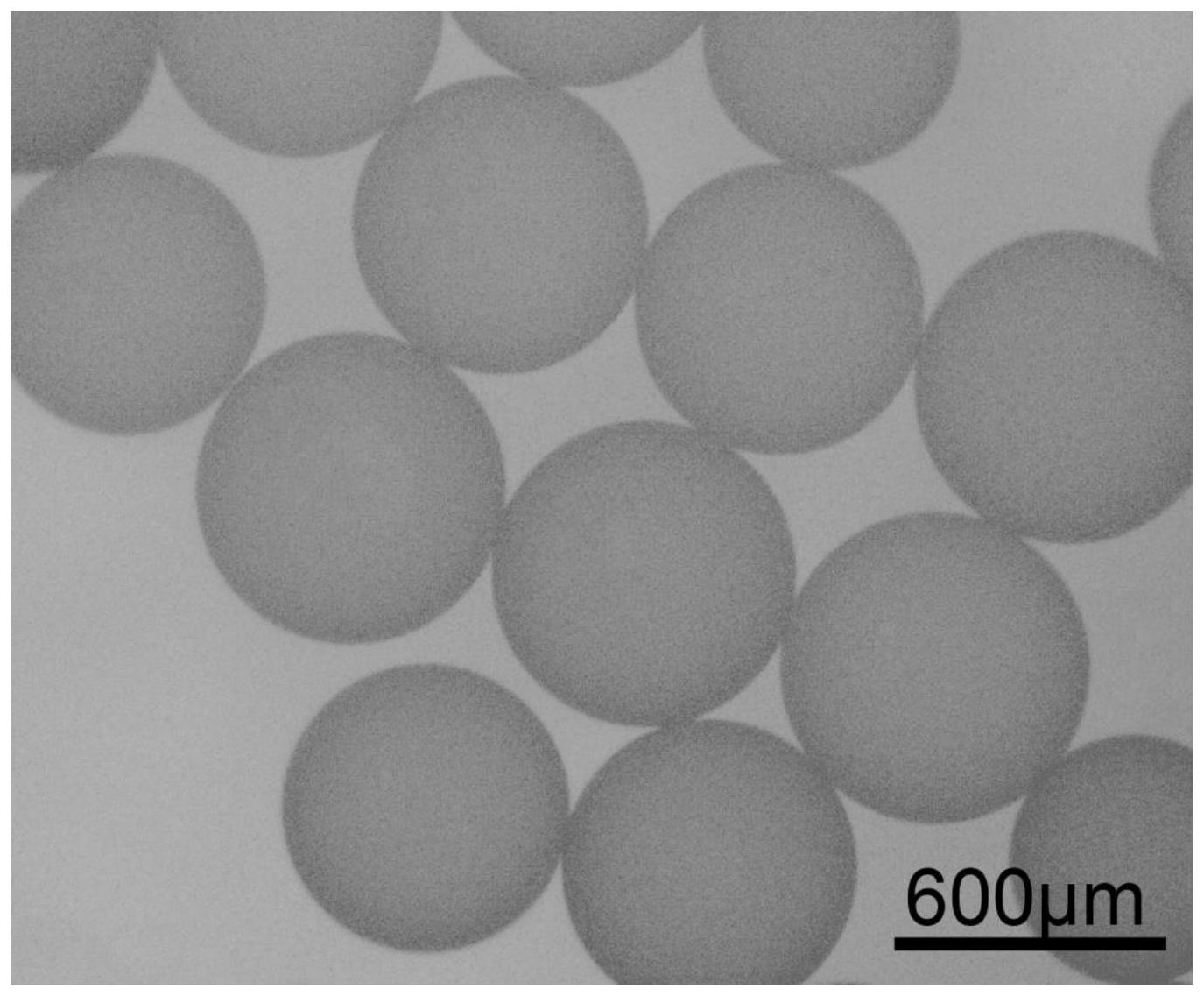 聚乙烯醇栓塞微球图片