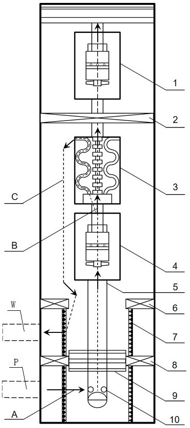 井下油水分离器及其分离系统