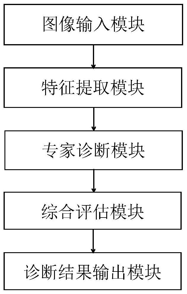 一种新冠肺炎诊断系统,介质及设备