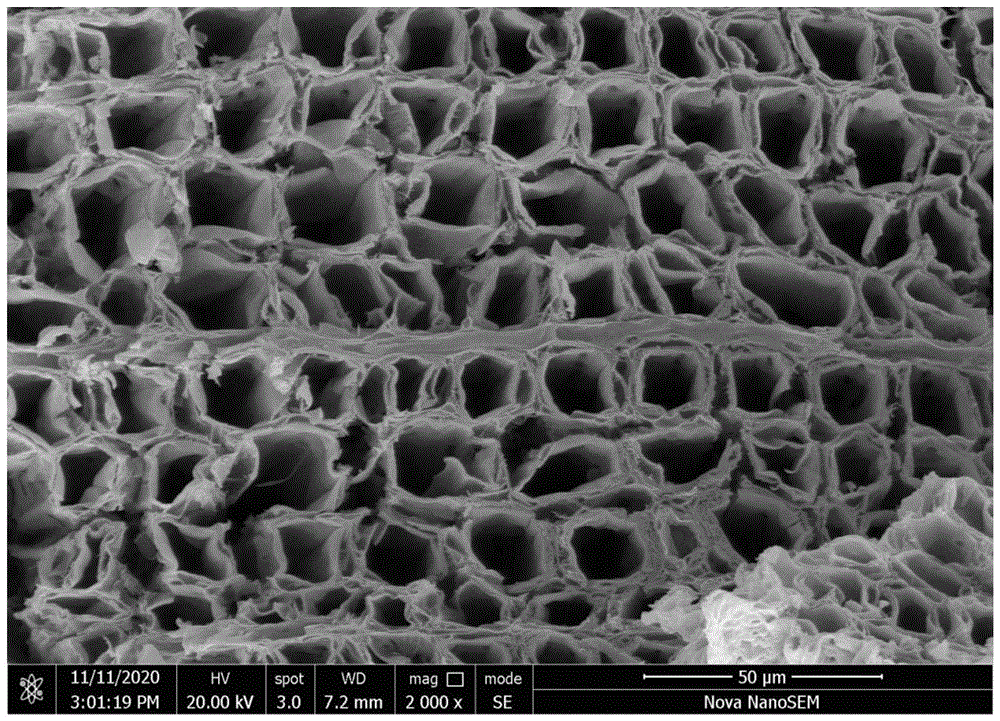 用于脱汞的具有木材3d有序孔道结构的多孔co3o4催化剂及其制备方法