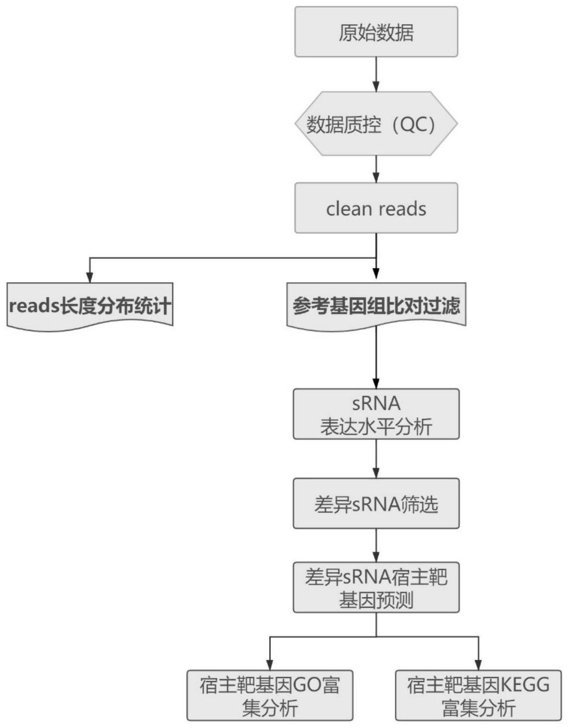 基于高通量测序技术的宿主中病毒来源srna数据分析方法