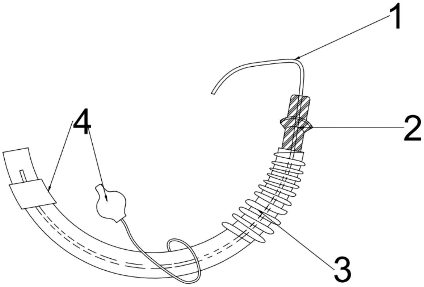 大黄螺纹导管手绘图图片
