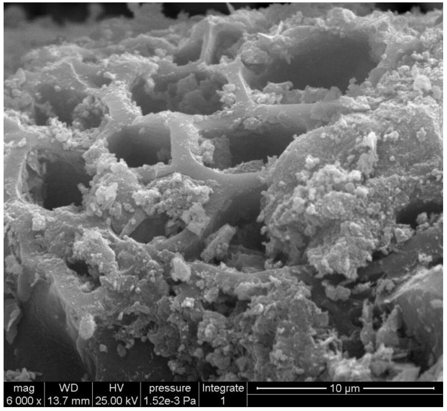 首先製備載氫氧化鐵膠體生物炭,煅燒後獲得載fe2o3生物炭;然後添加