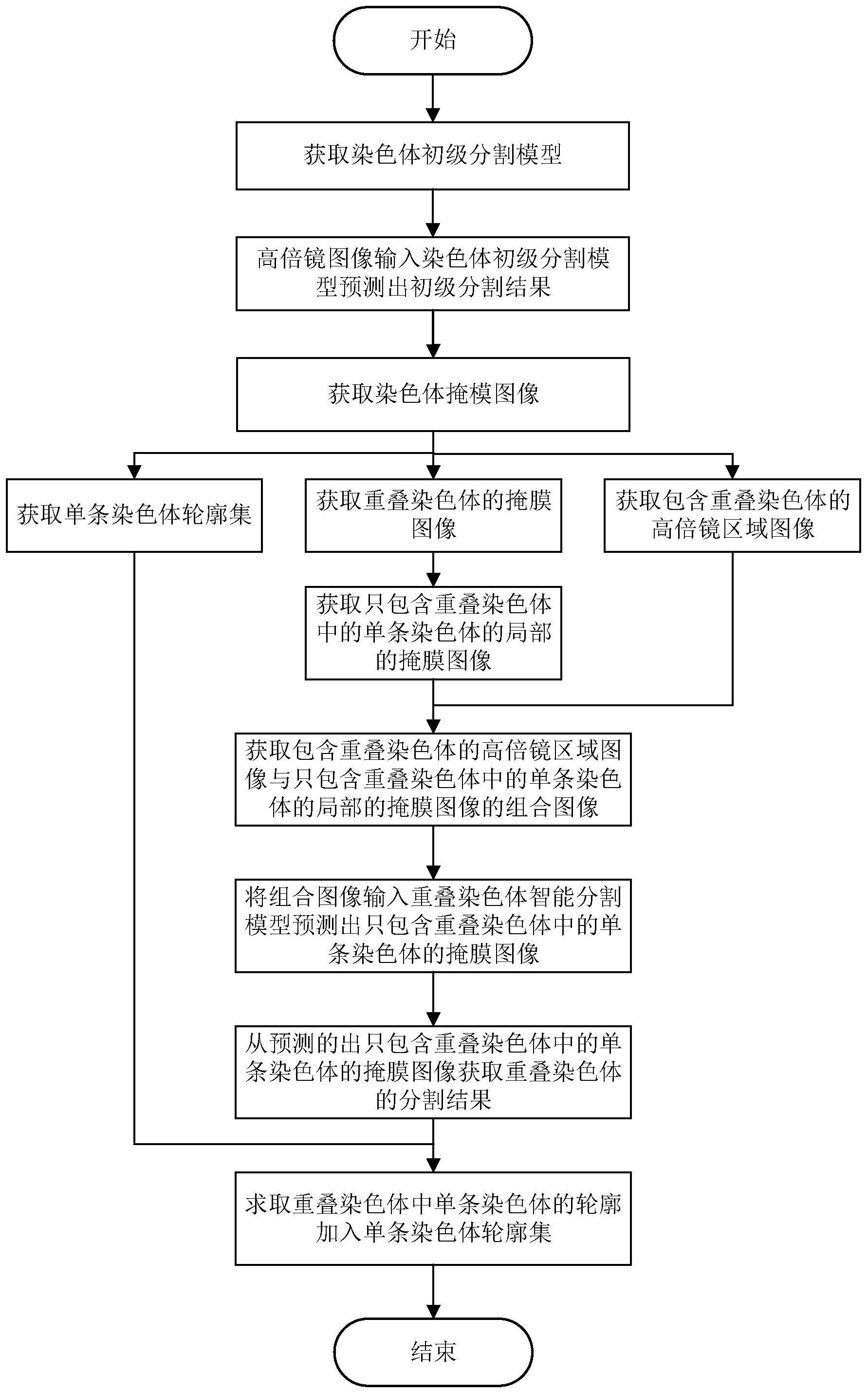 一种染色体核型分析中染色体分割方法