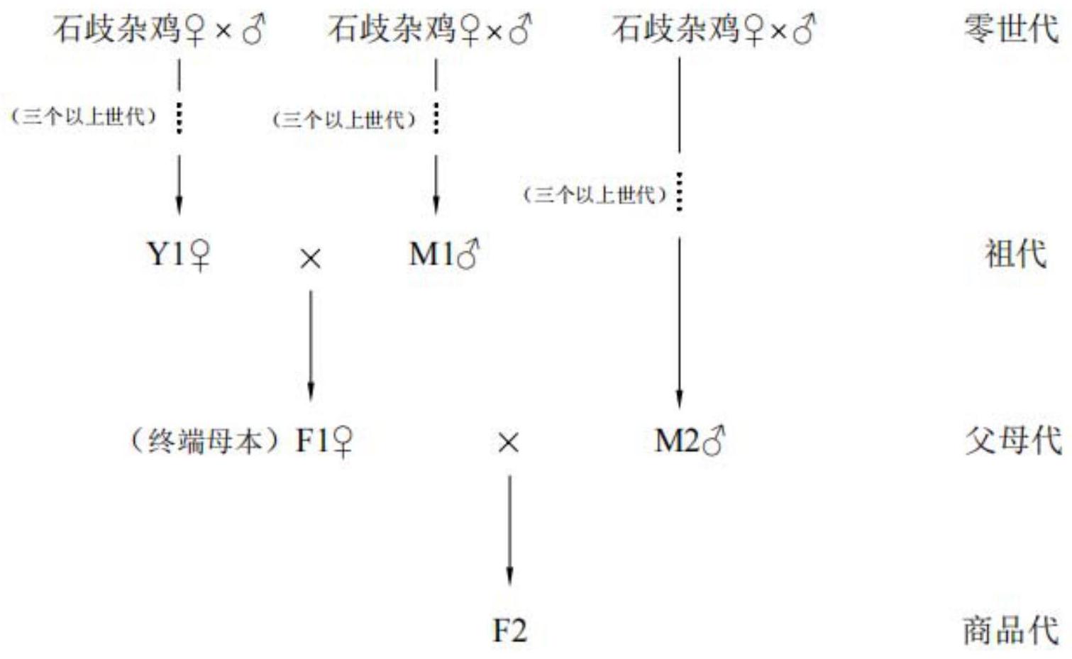 三系配套法示意图图片