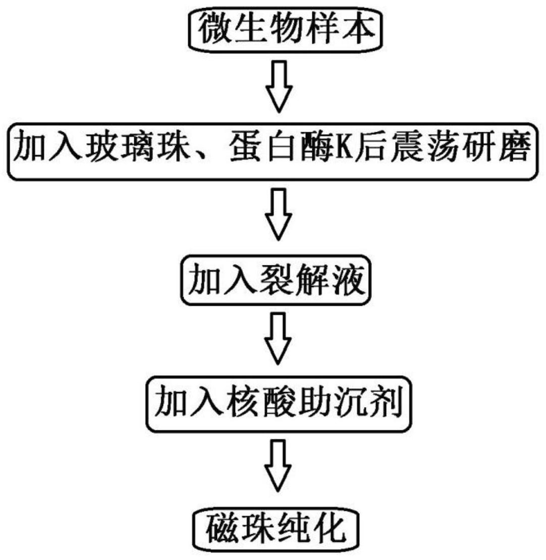 一種細菌,真菌,病毒dna核酸提取的方法