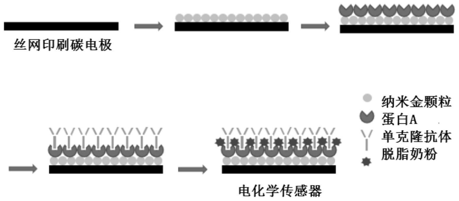 一种电化学免疫传感器及其制备方法和应用