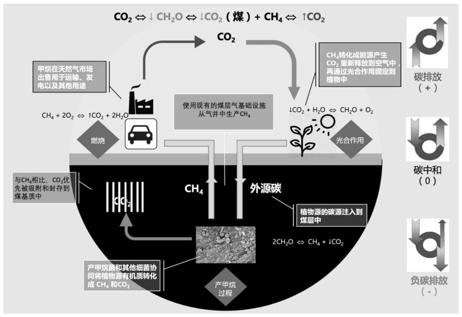 利用煤層進行碳捕集,封存和生產低碳可再生天然氣方法