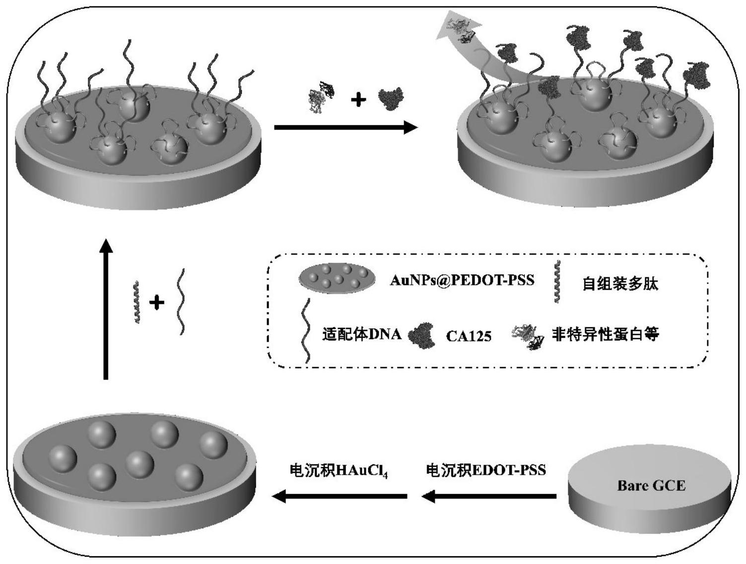 本發明適用於電化學技術領域,提供了一種生物傳感器及其製備方法,應用