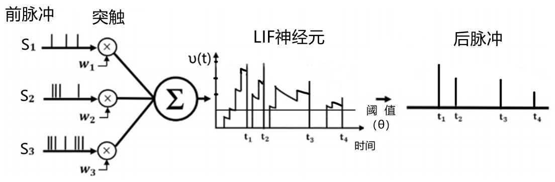 脉冲神经网络中神经元的信号处理方法及该网络训练方法