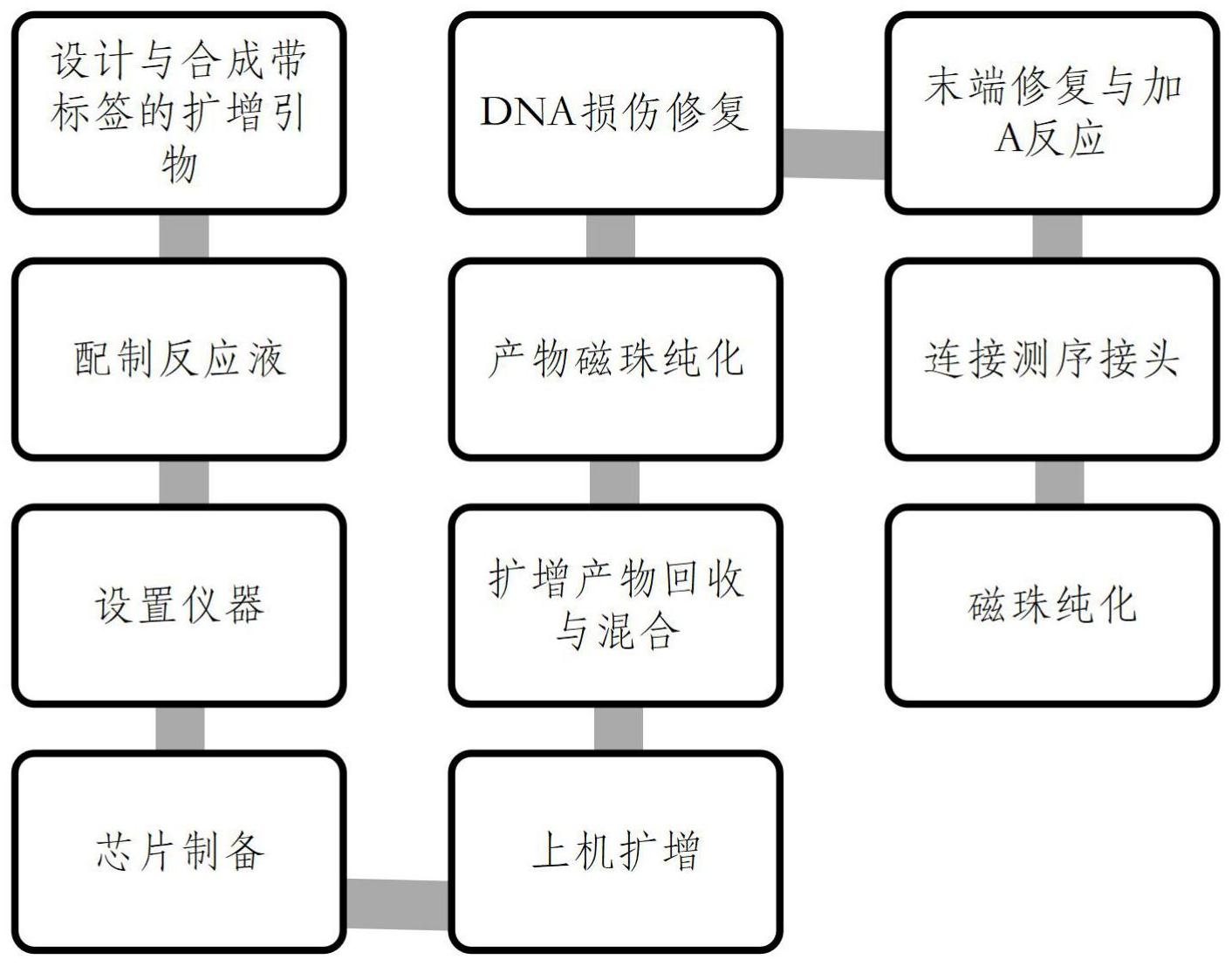 一種基於pacbio測序的16srdna全長文庫高通量構建的技術方法