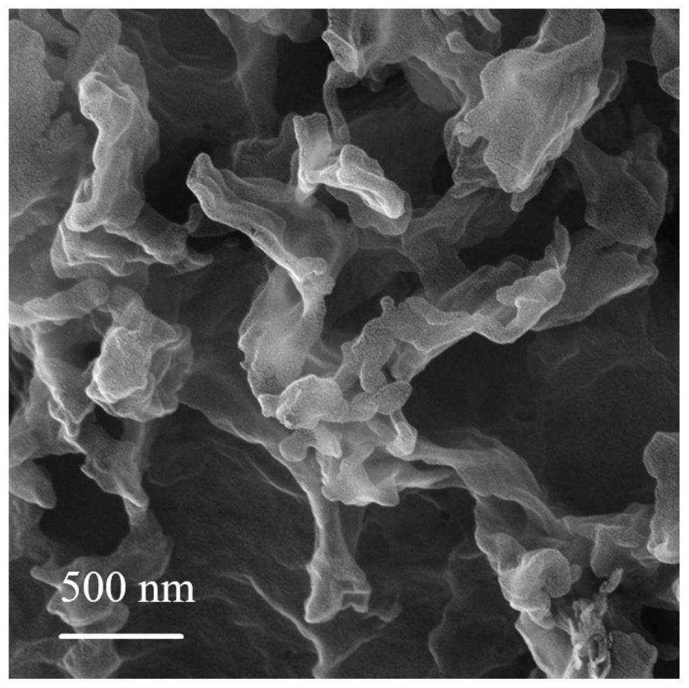 碳缺陷氮化碳气凝胶及其制备方法和应用