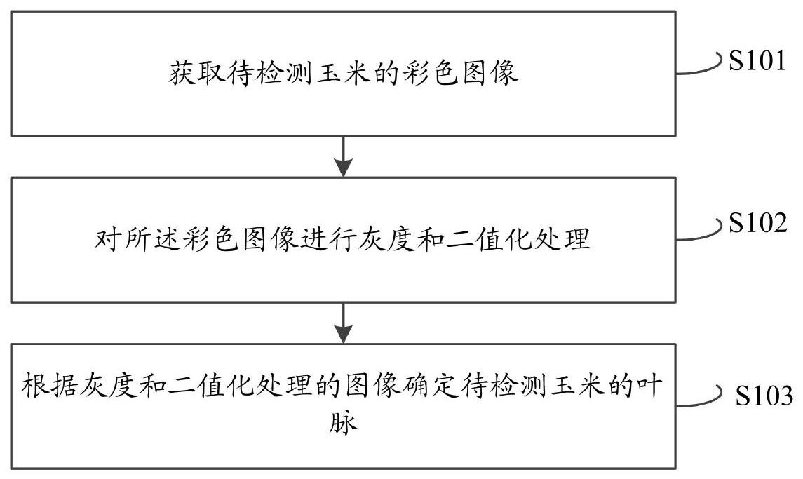 一种玉米叶脉检测方法,系统及设备