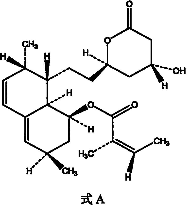一种洛伐他汀结构类似物及其制备方法与用途