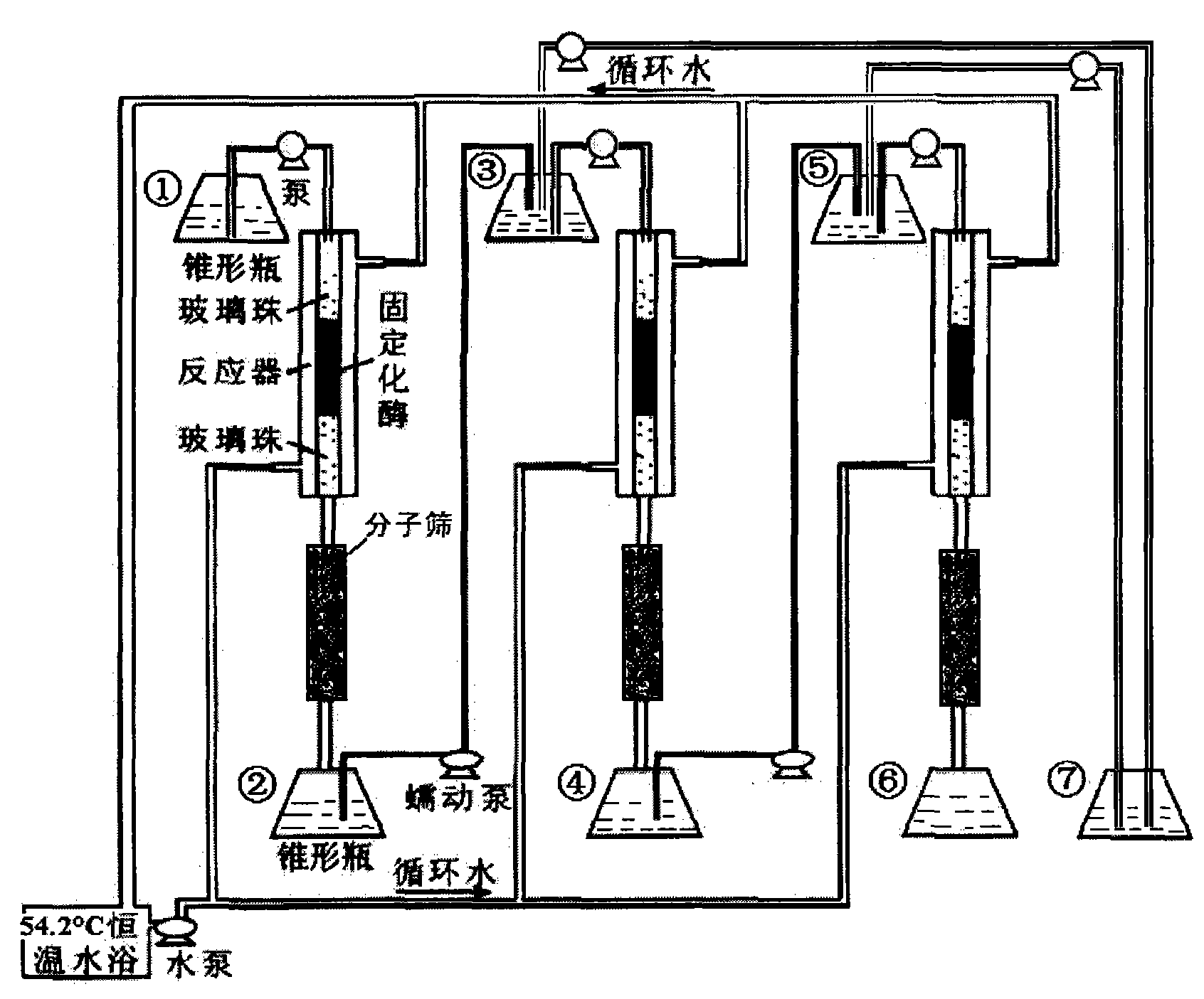 cn101560530b_用多级固定床反应器进行固定化脂肪酶催化合成柠檬酸