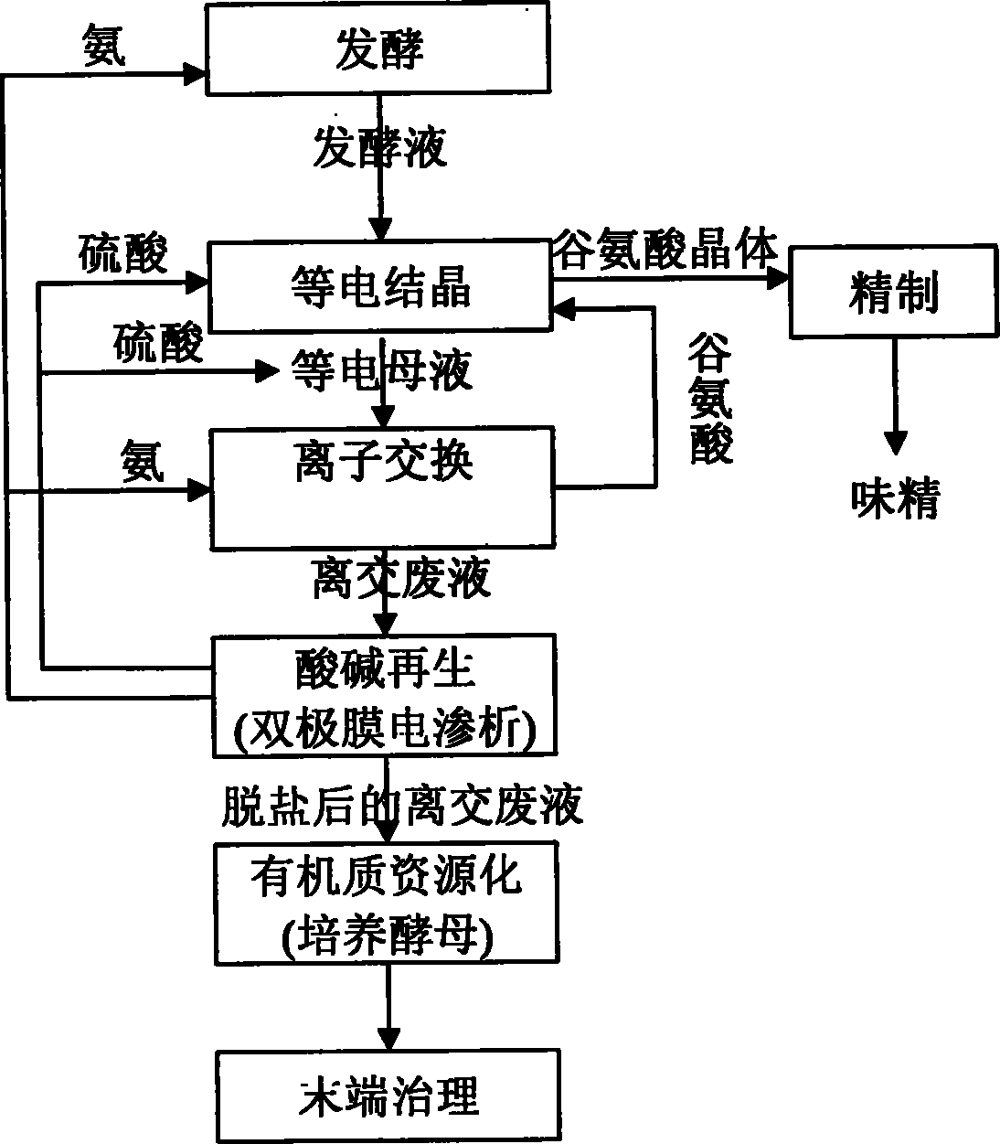 谷氨酸钠制作工艺流程图片