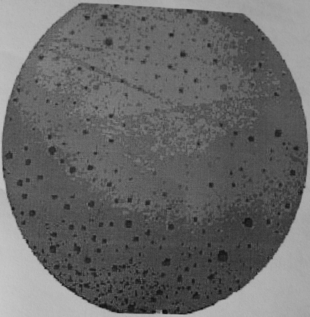 牛奶脂肪球观测方法